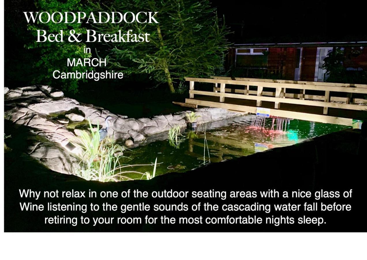 Woodpaddock Bed & Breakfast March Zewnętrze zdjęcie